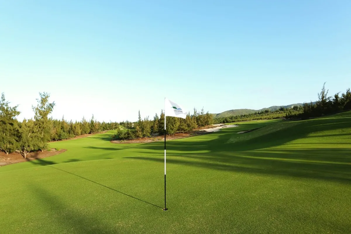 Flag on a green with casuarina pines at Sonadezi Chau Duc Golf Course