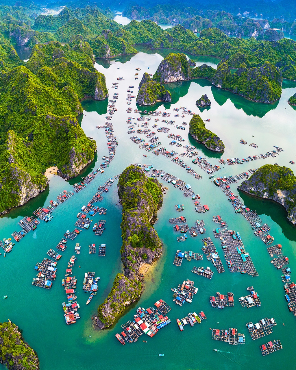 Lan Ha Bay, Vietnam, dramatic limestone karsts rising from calm emerald waters